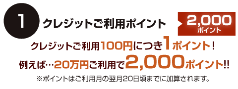 クレジットご利用ポイント