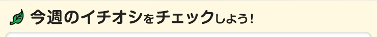 $B:#=5$N%$%A%*%7$r%A%'%C%/$7$h$&!*(B